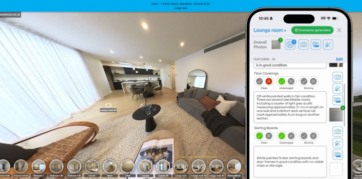 Entry Report inspection preview